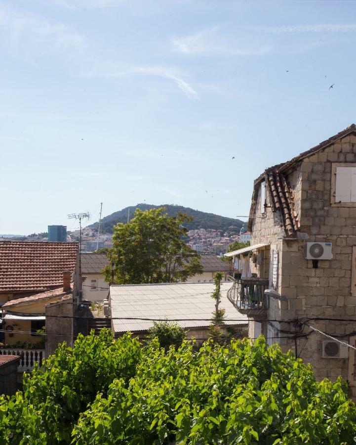 Morus Alba Apartment