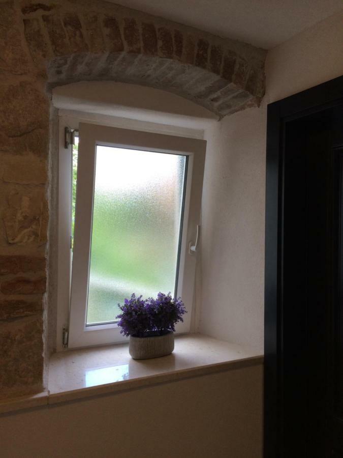 Morus Alba Apartment